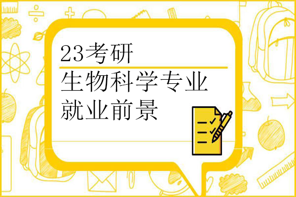 23考研